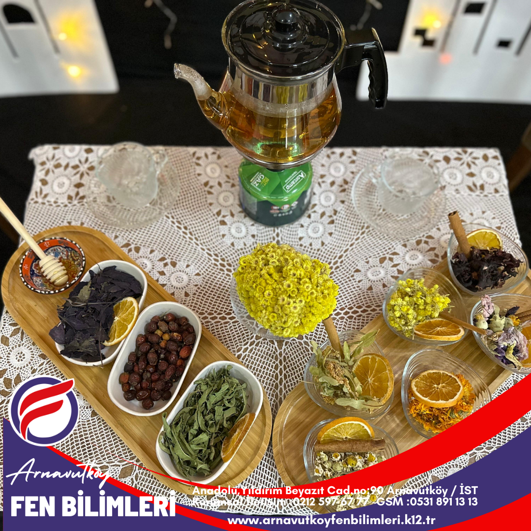 BİTKİ ÇAYININ ÖNEMİ VE FAYDALARI FESTİVALİ